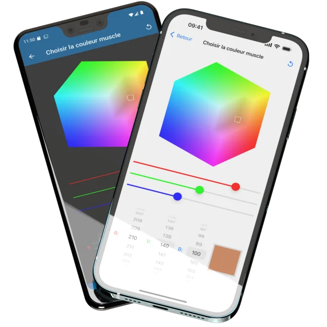 Présentation de deux téléphones mobiles, un Pixel 3 XL à l'arrière et un iPhone 12 Pro Max à l'avant, avec l'application mobile Humanatomy ouverte montrant un sélecteur de couleurs interactif en 3 dimensions